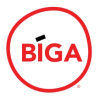 Biga logo - Similar company to Neska