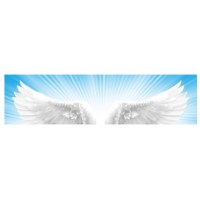 Angel Principle Consulting