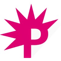 Punkmedia.nl logo - Similar company to Oostendorp - Vakmanschap Sinds 1968