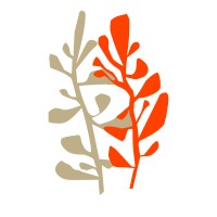 The Newbiz Academy logo - Similar company to Coedx