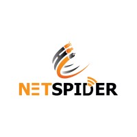 NETSPIDER DIGITAL MARKETING  AND CLIENT SERVICES LLC logo - Similar company to Cap X Media
