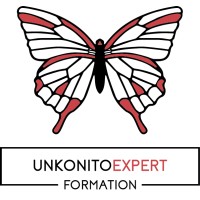 UNKONITO EXPERT FORMATION logo - Similar company to Unkonito