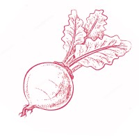 The Beet logo - Similar company to The Beet