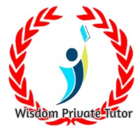 Wisdom Private Tutor logo - Similar company to Skompxcel