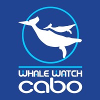 Whale Watch Cabo logo - Similar company to Edmaktub