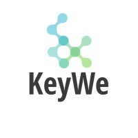 KeyWe India Private Limited logo - Similar company to Concientech Solutions