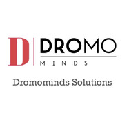 Dromominds Solutions logo - Similar company to Mack Digital Solutions
