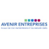 Fsi Régions (Avenir Entreprises)