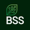 BSS logo - Similar company to Usphera Web3