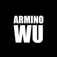 ARMINO WU logo - Similar company to Match Kicks