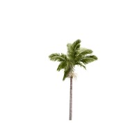 Tichaiti