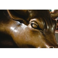Binah Wealth Capital logo - Similar company to 3Dmarx