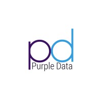 PurpleData logo - Similar company to Purpledata.Io
