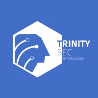 Trinity Sec Ciberseguridad logo - Similar company to Ocd Tech México