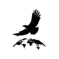 Falcon Global Capital DIFC logo - Similar company to Falconco