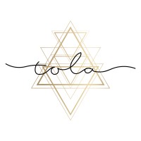 Tola Digital logo - Similar company to Welltech Ai