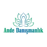 Ande Danışmanlık logo - Similar company to Esc Danışmanlık