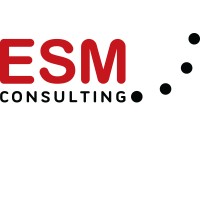 ESM Consulting - Estrategias Soluciones Medios y Consulting, S.L. logo - Similar company to Inform Growth
