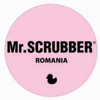 Mr.SCRUBBER logo - Similar company to Тов 