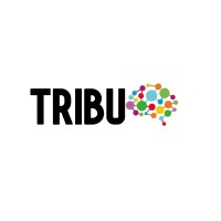 Tribu Management logo - Similar company to Tinkerware