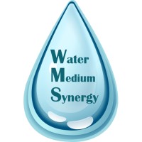 Water Medium Synergy: Spiritual Wellness & Water Medium Psychic Guidance logo - Similar company to Lions Mane Enterprises Ltd