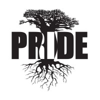 The PRIDE Program logo - Similar company to Program Implementation Unit - Planning & Development Board, Punjab