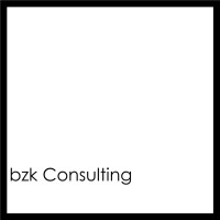 bzk Consulting logo - Similar company to Hyperbridge - Digitize Your Business Gmbh