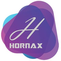 Hornax Solutions logo - Similar company to Aniation