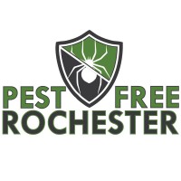 Pest Free Rochester MN logo - Similar company to Spark, The Children'S Museum Of Rochester