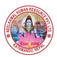 Neelkamal Human Resource Pvt. Ltd. logo - Similar company to Be Rojgaar