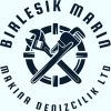 BIRLESIK MARIN MAKINA DENİZCİLİK LTD. ŞTİ. logo - Similar company to Maseto B.V.