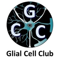 French Glial Cell Club logo - Similar company to Division Computers In Chemistry (Cic) Of The German Chemical Society (Gdch)