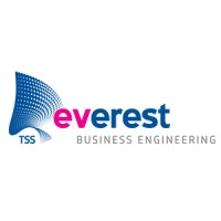Everest BV logo - Similar company to Blueriq