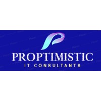 PrOptimistic IT Consultants logo - Similar company to Talent Cube