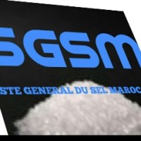 SGSM logo - Similar company to Sgms+