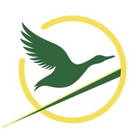 Ducks Rising