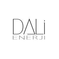 Dali Enerji logo - Similar company to Seapower Electrical System