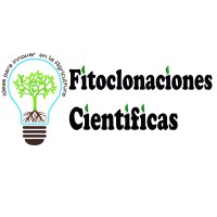 Fitoclonaciones Científicas S. A. de C. V.. logo - Similar company to Biolets