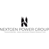 NEXTGEN POWER GROUP LTD. logo - Similar company to Skyclowd Solutions