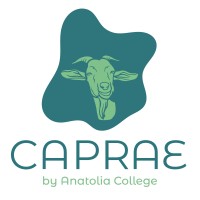 Caprae - CanSat & Rocketry logo - Similar company to Treasure Earth Prize