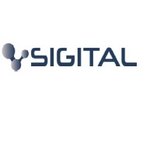 SIGITAL logo - Similar company to Decisive Digital