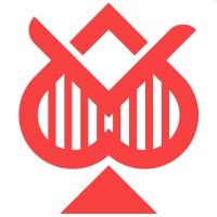 Bridgestars Technologies logo - Similar company to Netnedge