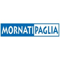 MornatiPaglia logo - Similar company to Vector Electronics