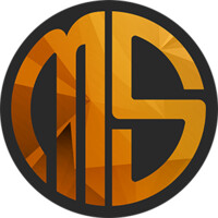 MSA Consulting, Inc. logo - Similar company to Msa Consulting