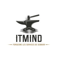 ITMIND logo - Similar company to Itmint