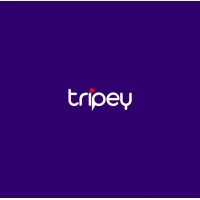 TRIPEY TECHNOLOGY TOURISM INVESTMENT GROUP logo - Similar company to Alsacarackiralama
