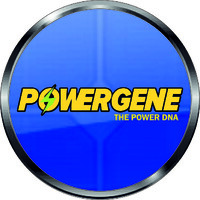 Powergene Solar Pvt. Ltd. logo - Similar company to Dkc Projects Pvt. Ltd.