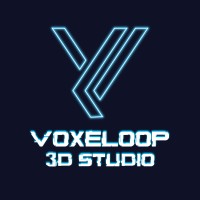 Voxeloop Studio logo - Similar company to Lavinxr