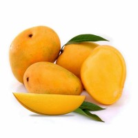 Alphonso Mangoes logo - Similar company to Alphonsomango.In