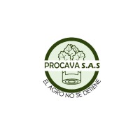 PROCAVA S.A.S logo - Similar company to Procava